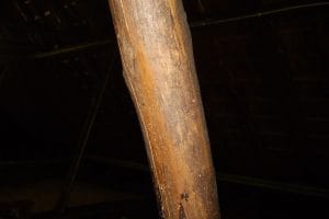 Houtworm bestrijden? Kleine gaatjes in het hout en/of kleine hoopjes boormeel op/onder het hout zijn aanwijzingen