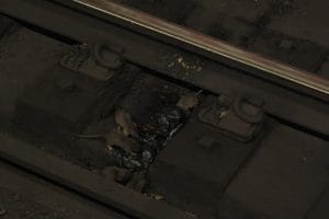Ratten op treinrails