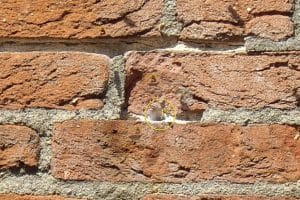 Wespen in spouwmuur