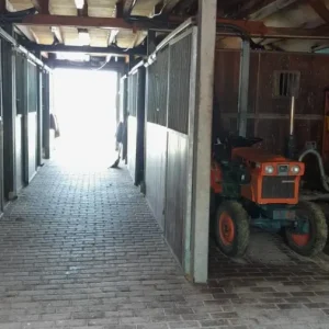 Na - Houtworm bestrijden Elsloo (Friesland)