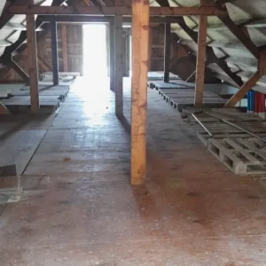 Na - Houtworm bestrijden Elsloo (Friesland)