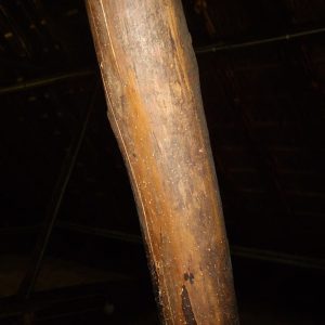 Houtworm bestrijden? Kleine gaatjes in het hout en/of kleine hoopjes boormeel op/onder het hout zijn aanwijzingen