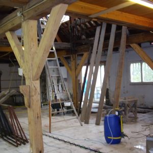 Bestrijding van houtworm voorkomt grote problemen en schade