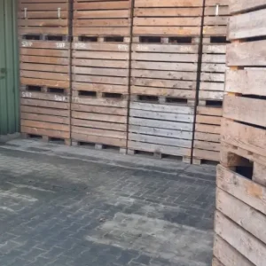 Special - houtworm bestrijden aardappelkist