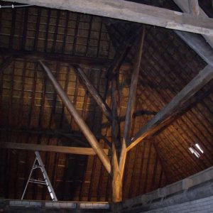 Voortgang behandeling van het hout bij houtwormbestrijding